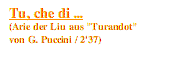 Textfeld: Tu, che di ...