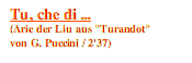 Textfeld: Tu, che di ...