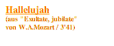 Textfeld: Hallelujah